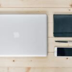 Humanização dos Pets: Como Essa Tendência Redefine o Mercado de Luxo e o Consumo Premium