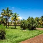 Como Criar um Site do Zero para Iniciantes: Guia Definitivo e Passo a Passo