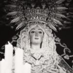 Temperos Essenciais: O Guia Definitivo para Cozinhas Iniciantes Dominarem o Sabor