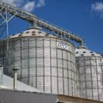 Animação Frame a Frame vs. Interpolada: O Guia Definitivo para Sua Escolha Criativa