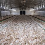 The Industry Squirms, It tooWhat It Asked!